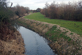 Elstow Brook looking north-east February 2012